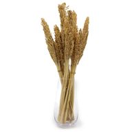Sorghum Grass Bunch - Natural