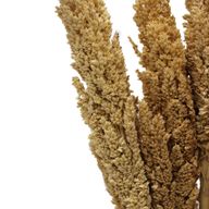 Sorghum Grass Bunch - Natural