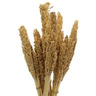 Sorghum Grass Bunch - Natural