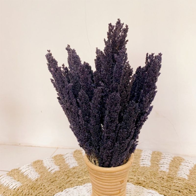 Sorghum Grass Bunch - Black