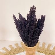 Sorghum Grass Bunch - Black