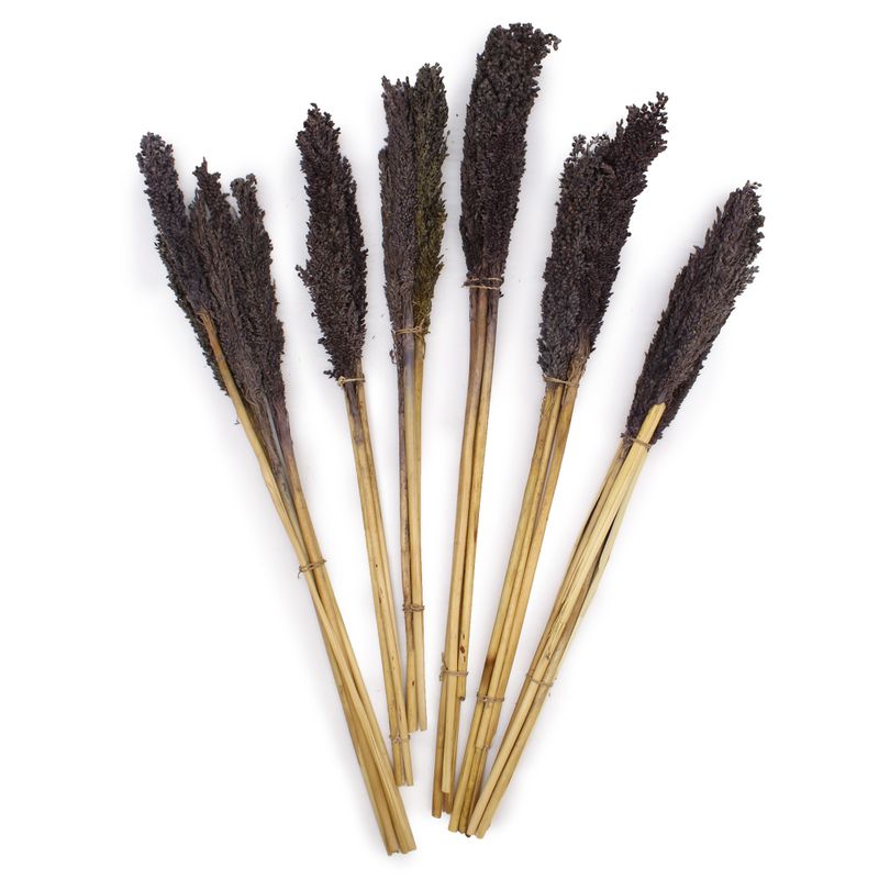 Sorghum Grass Bunch - Black