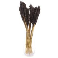 Sorghum Grass Bunch - Black