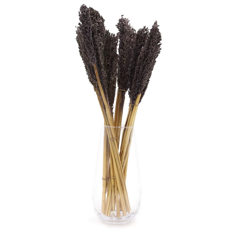 Sorghum Grass Bunch - Black