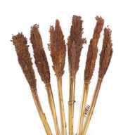 Sorghum Grass Bunch - Chocolate
