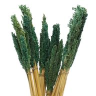 Sorghum Grass Bunch - Teal
