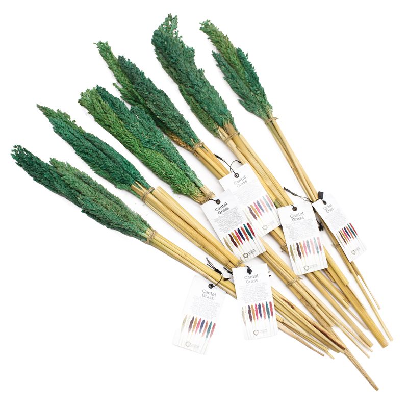 Sorghum Grass Bunch - Teal