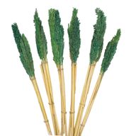 Sorghum Grass Bunch - Teal