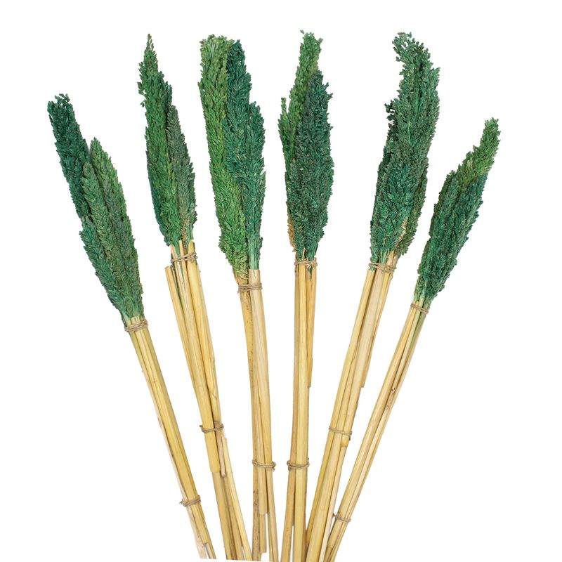 Sorghum Grass Bunch - Teal