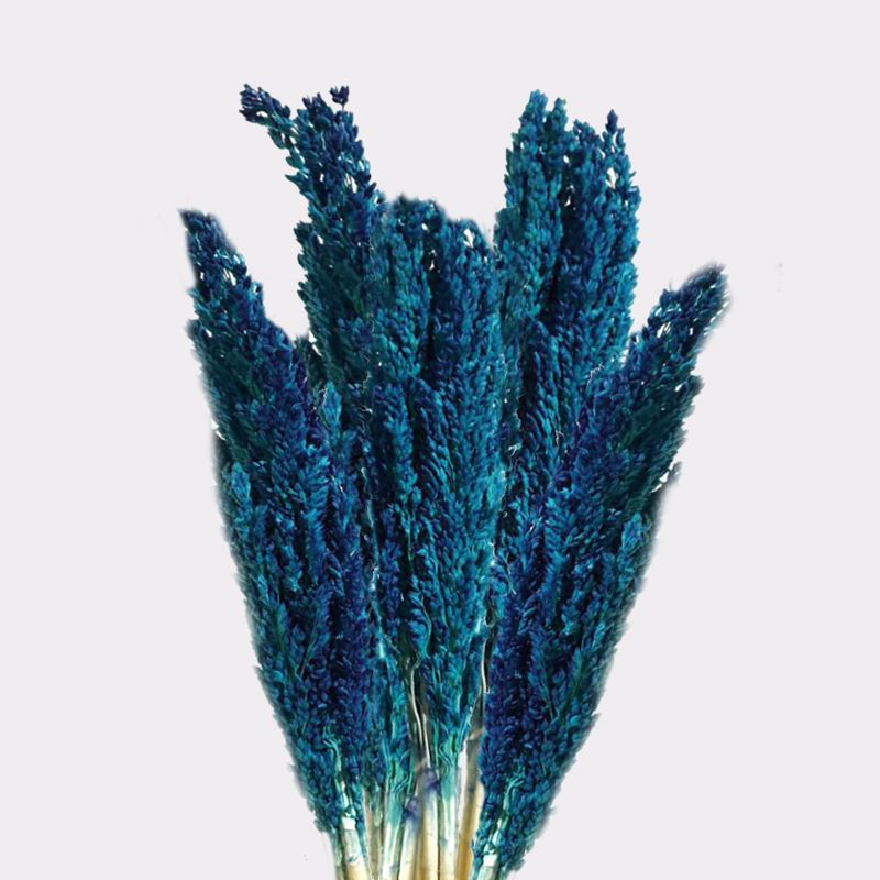 Sorghum Grass Bunch - Blue