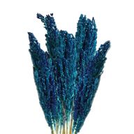 Sorghum Grass Bunch - Blue