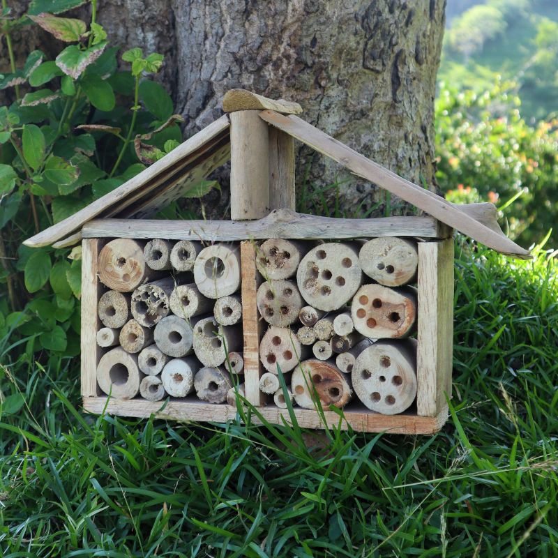Driftwood Bee & Insect Wide-house Box