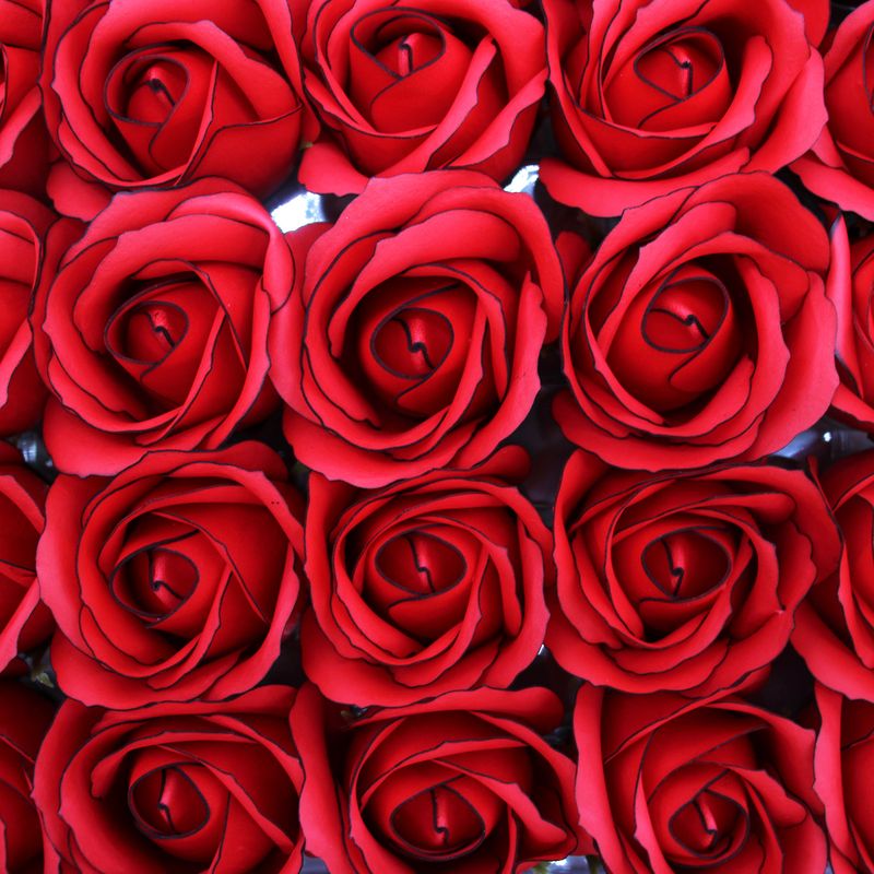 Craft Soap Flowers - Med Rose - Red With Black Rim