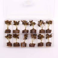 Mini Gemstone Trees On Wood Base - Tiger Eye (15 stones)