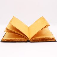 Hefty Brown Tan Book - Zinc Rose Decor - 200 Deckle Edges Pages - 26x18cm