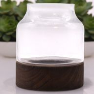 Medium Shaped Terarium on Dark Tung Wood - 16x18cm