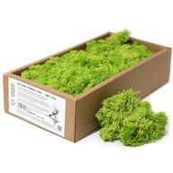 Quality Decorative Reindeer Moss - Light Grass - 500g Box