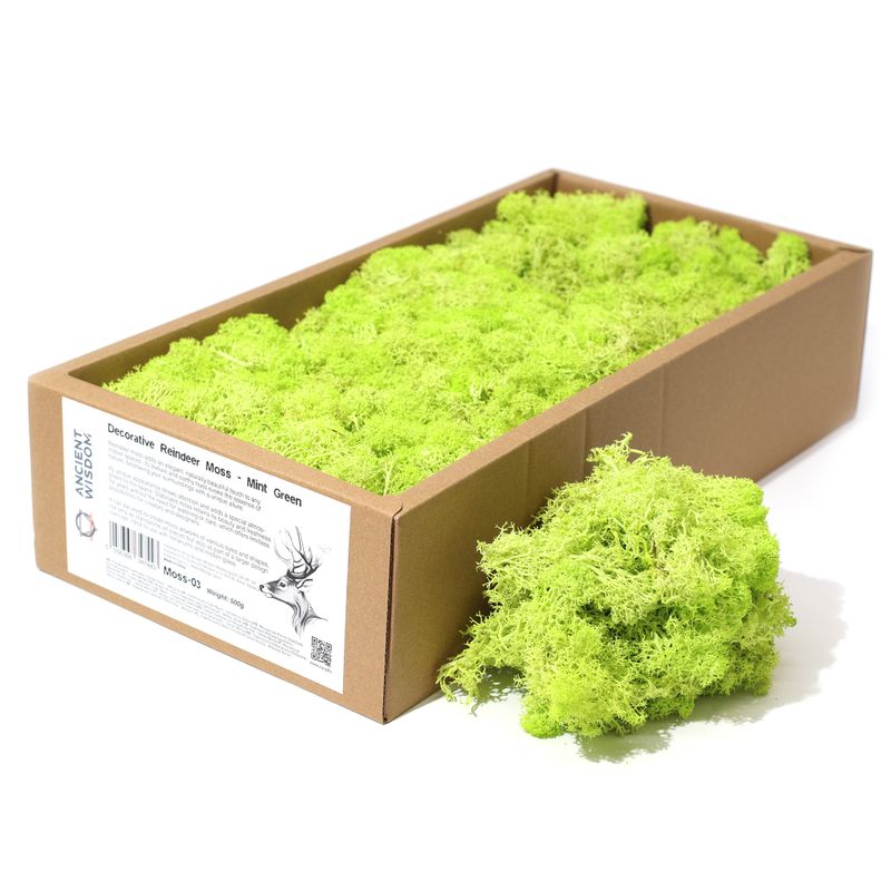 Quality Decorative Reindeer Moss - Mint Green - 500g Box