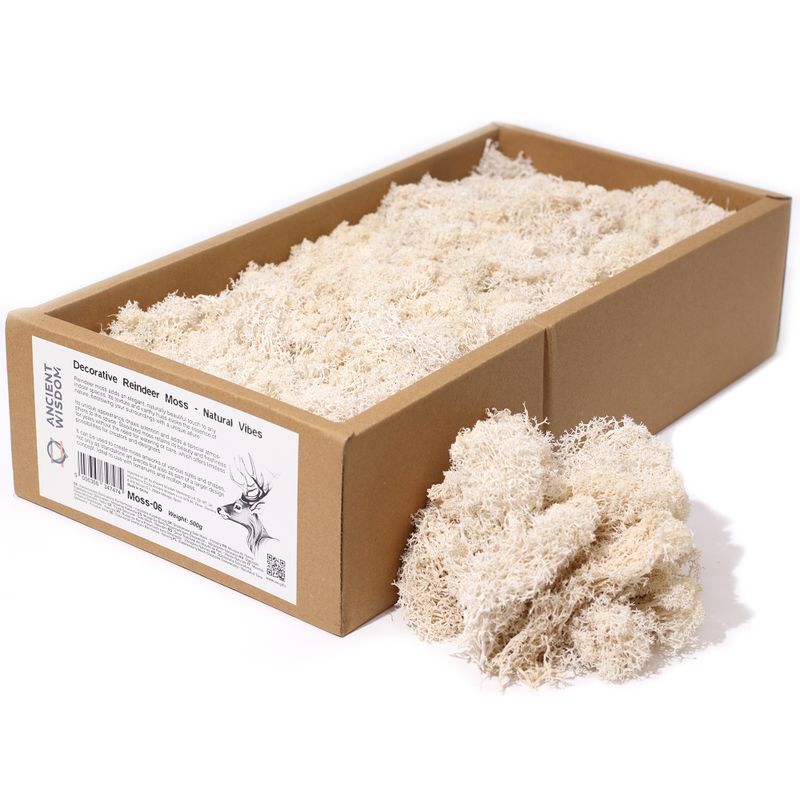 Quality Decorative Reindeer Moss - Natural Vibes - 500g Box