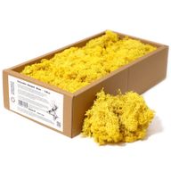 Quality Decorative Reindeer Moss - Yellow - 500g Box