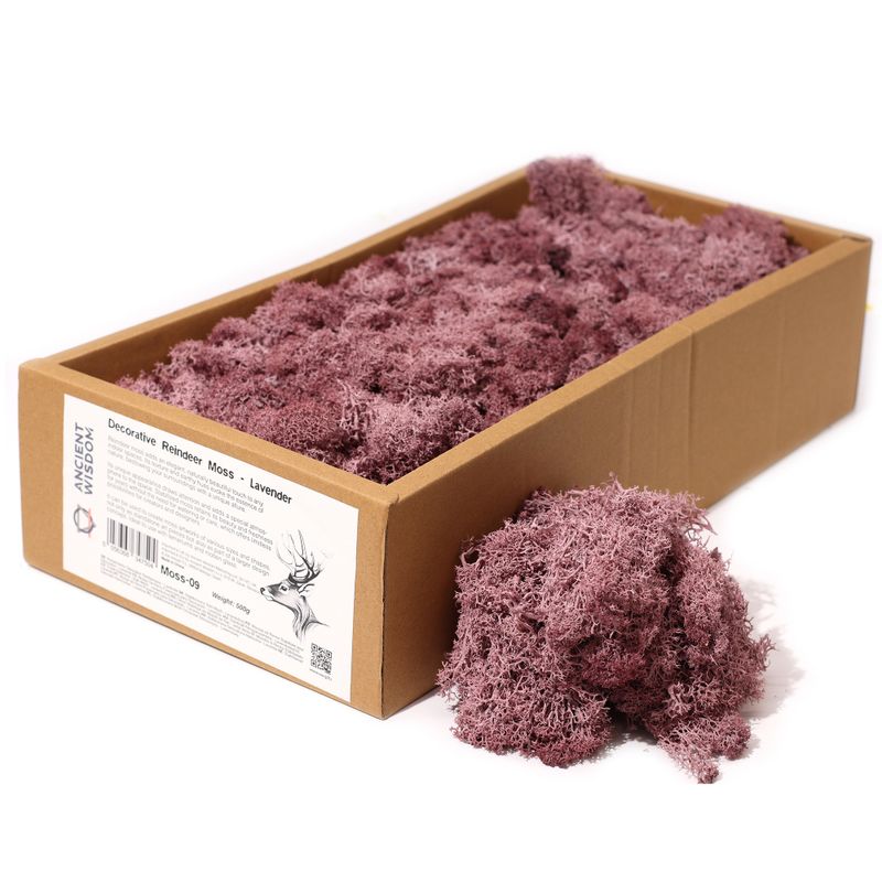 Quality Decorative Reindeer Moss - Lavender - 500g Box