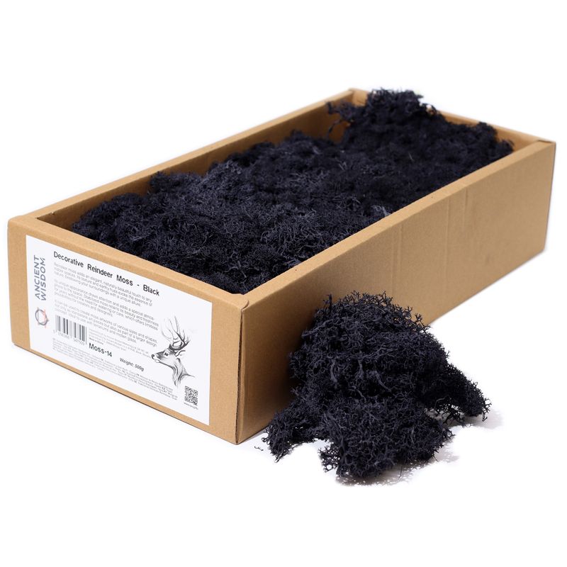 Quality Decorative Reindeer Moss - Black - 500g Box