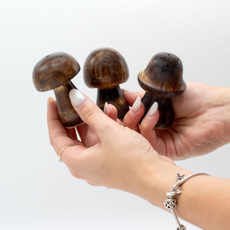 Set of 3 Mini Incense Mushrooms (8cm 7cm 6,5cm)