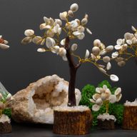 Lrg Gomati Chakra Circle Stone Trees - 60 stones