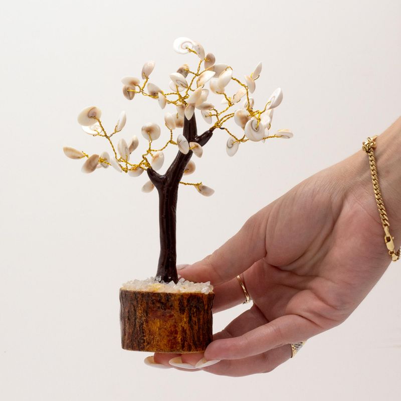 Lrg Gomati Chakra Circle Stone Trees - 60 stones