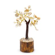 Med Gomati Chakra Circle Stone Trees - 45 stones