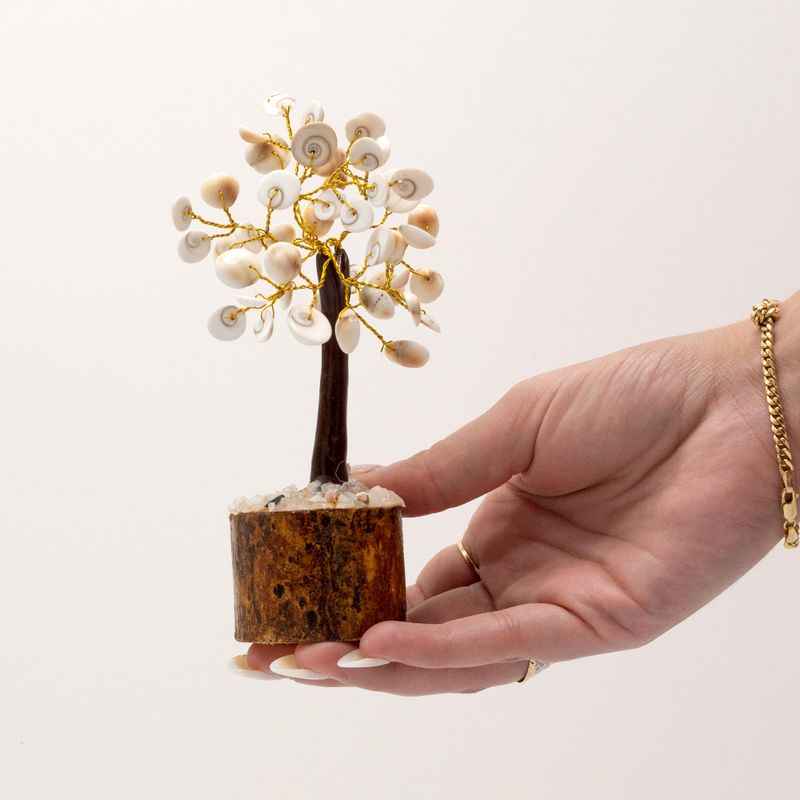 Med Gomati Chakra Circle Stone Trees - 45 stones