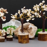 Med Gomati Chakra Circle Stone Trees - 45 stones