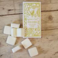 Box of 8 Wax Melts - Citrus