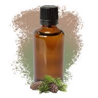 Pine Sylvestris (Scots Pine) 50ml - White Label