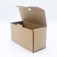 Cardboard Box with Tray for 10x 10ml Bottles