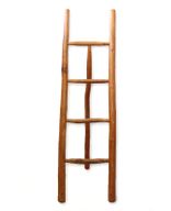 Large Teak Ladder - 1.5m - Natural