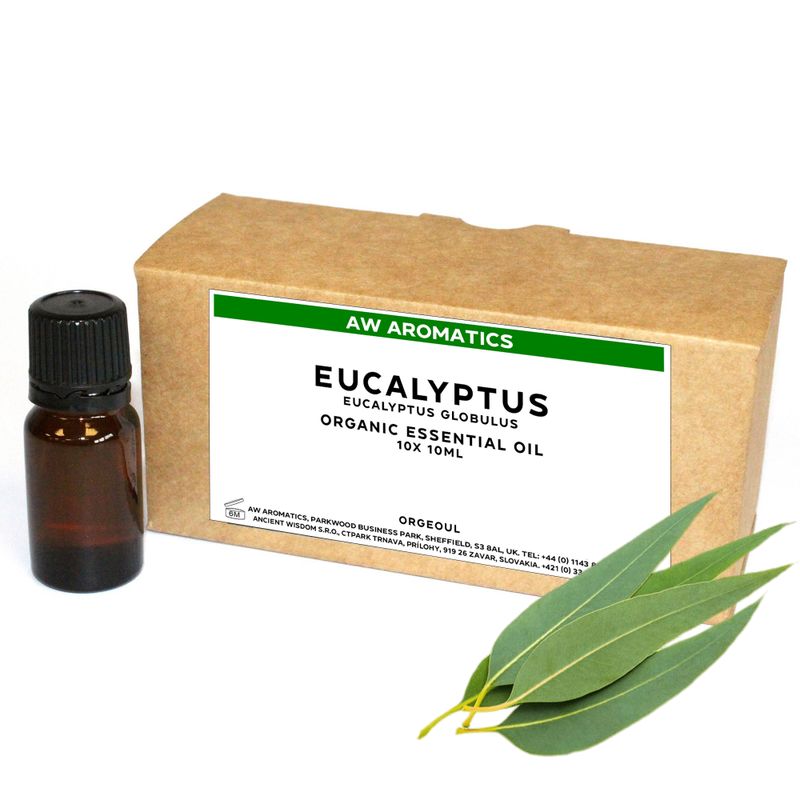 Eucalyptus Organic Essential Oil 10ml - White Label
