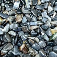 L Tumble Stones - Petrified Wood Black