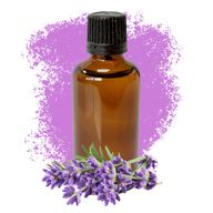 Lavender 50ml - White Label