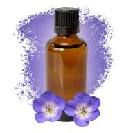 Geranium (Egypt) 50ml - White Label