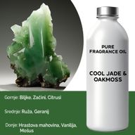 Cool Jade & Oakmoss Pure Fragrance Oil - 500ml