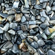 L Tumble Stones - Petrified Wood Black
