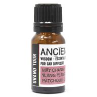 Car Aromatherapy - Starter Kit