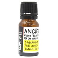 Car Aromatherapy - Starter Kit