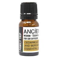Car Aromatherapy - Starter Kit