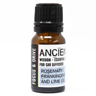 Car Aromatherapy - Starter Kit