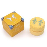 Box of 2 Zodiac Bath Fizzers with Horoscope - Gemini