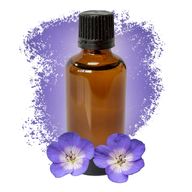 Geranium (Egypt) 50ml - White Label
