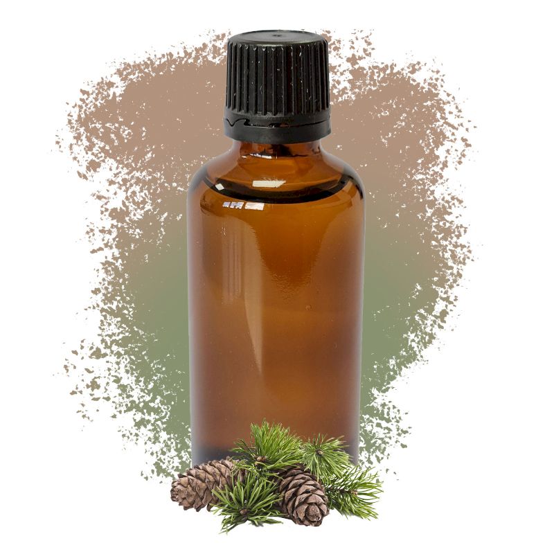 Pine Sylvestris (Scots Pine) 50ml - White Label