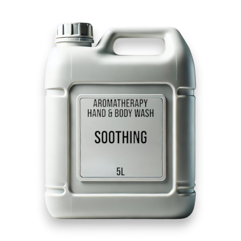 Mandarin & Ginger Hand & Body Wash 5L